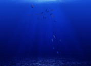 Фоновая флэш заставка для научного сайта